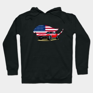 Classic Stingray USA Print Hoodie